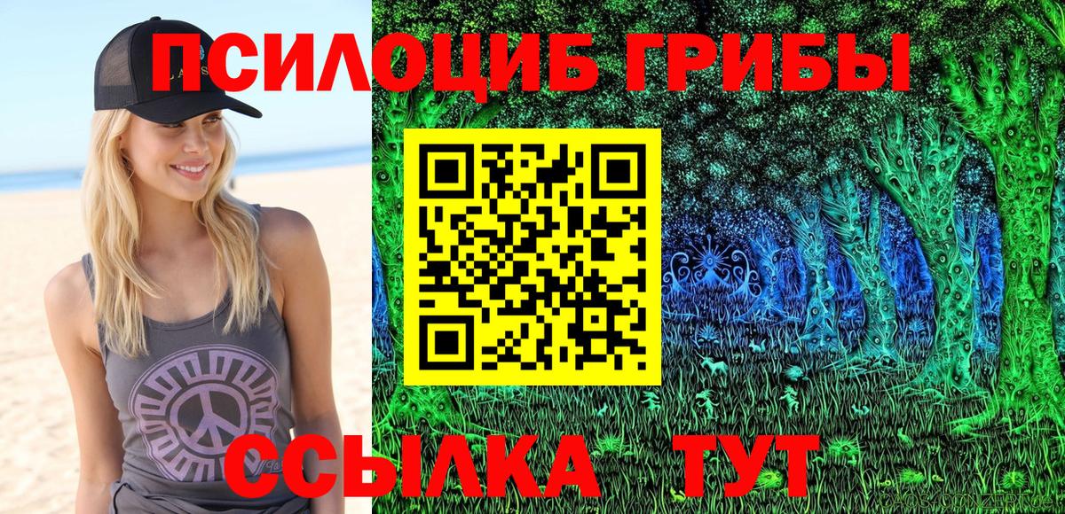 Псилоцибиновые грибы MAGIC MUSHROOMS Аша
