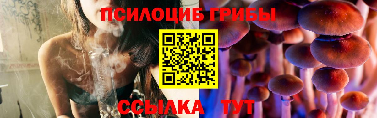 Галлюциногенные грибы Magic Shrooms  Галлюциногенные грибы мухоморы  Аша 